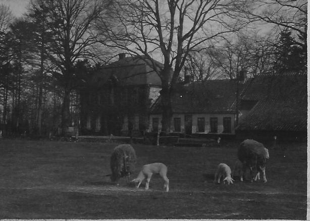 Gut Eschen 3 Foto C. Dieken 1929