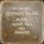 Herrmann Knurr