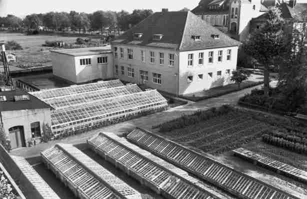 Samson, Jenny Die Israelitische Gartenbauschule Ahlem