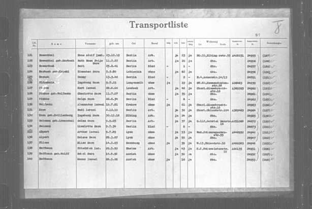 hoffmann transport 1