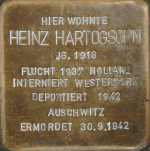 heinz-hartogsohn